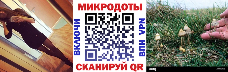 Галлюциногенные грибы Cubensis Арск
